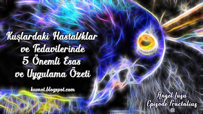 Ku%25C5%259Flardaki-Hastal%25C4%25B1klar-ve-Tedavilerinde-5-%25C3%2596nemli-Esas-ve-Uygulama-%25C3%2596zeti.jpg
