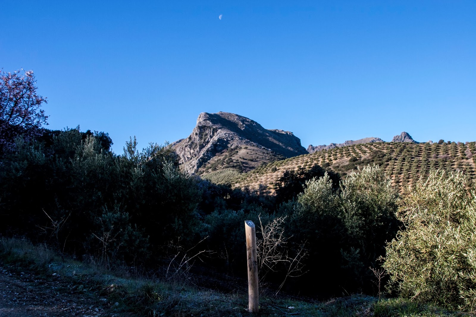 Locandares. Amigos del Senderismo.: ASCENSIÓN AL PICO LA TIÑOSA (1568 m ...