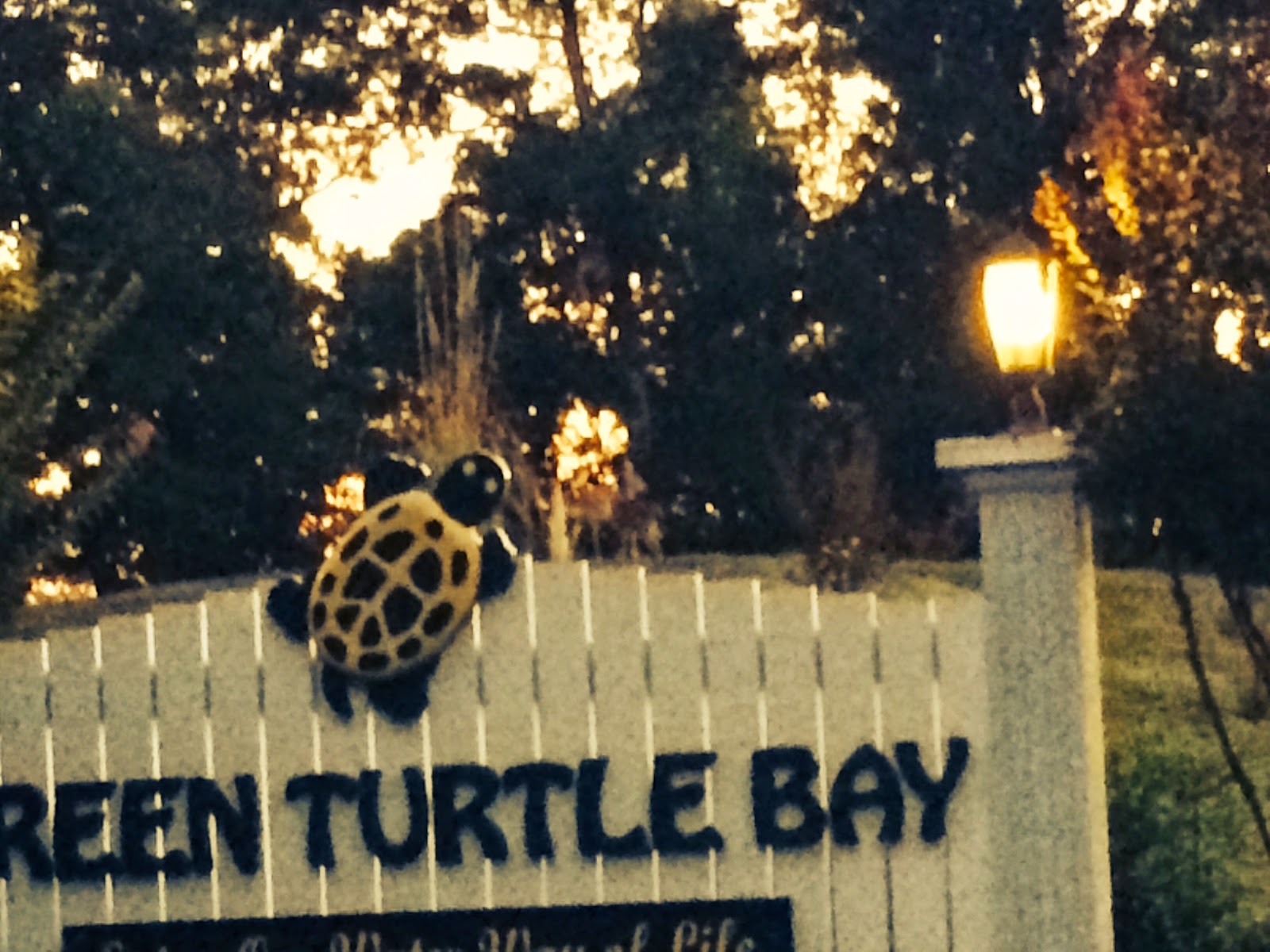 Lucky Us Adventures Days 2317 to 319 at Green Turtle Bay Marina