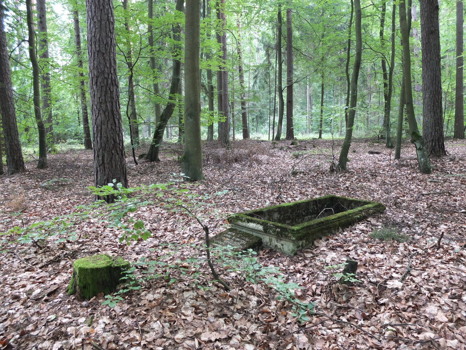 Powiat szczycieński i okolice historia, zabytki i archiwalia Nowe