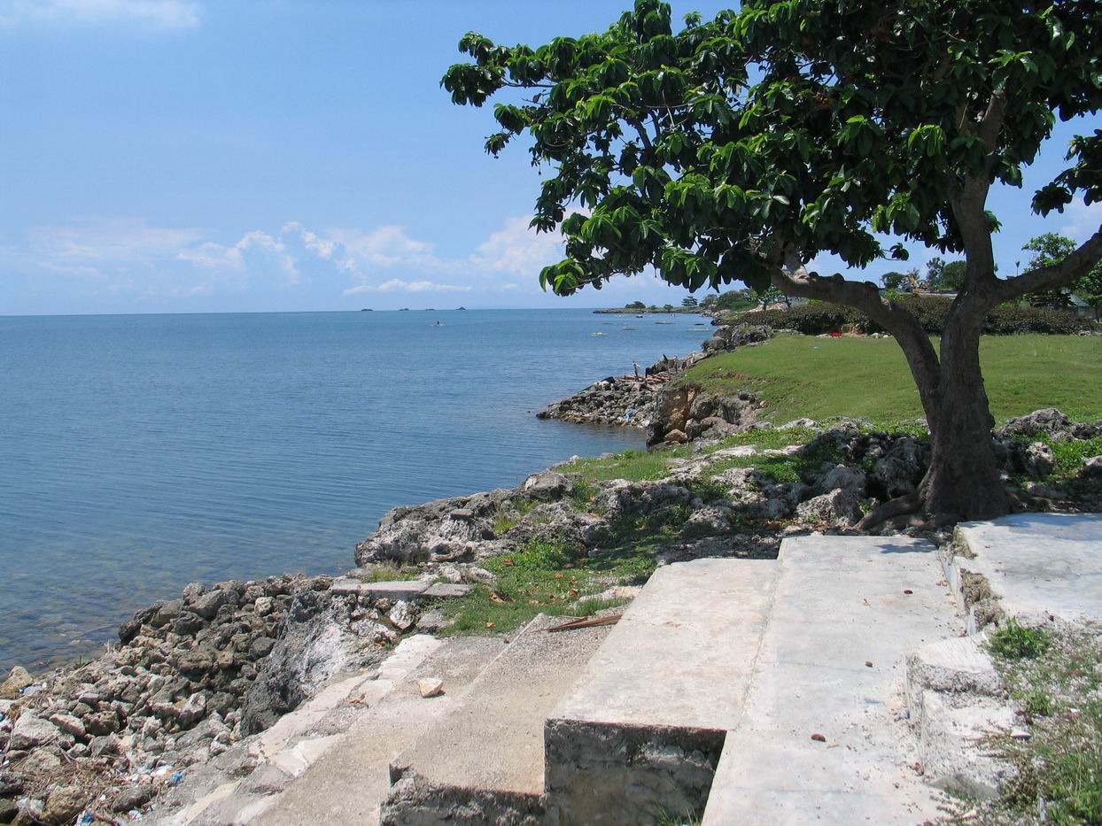 Mactan Real Estate Beach Lot for Sale in Baranggay Punta Engano