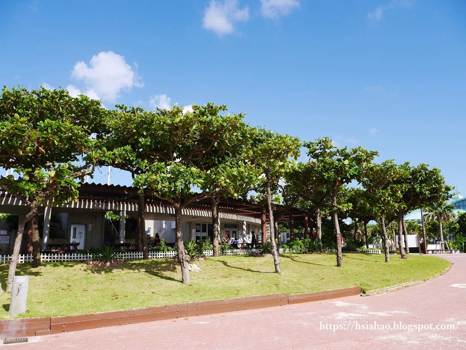 沖繩-景點-推薦-宜野灣海濱公園-熱帶海灘-tropical-beach-自由行-旅遊-Okinawa-Ginowan-Park