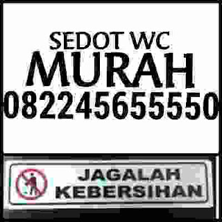 SERVICE WC PENUH MAMPET GRESIK SERVICE WC PENUH MAMPET GRESIK