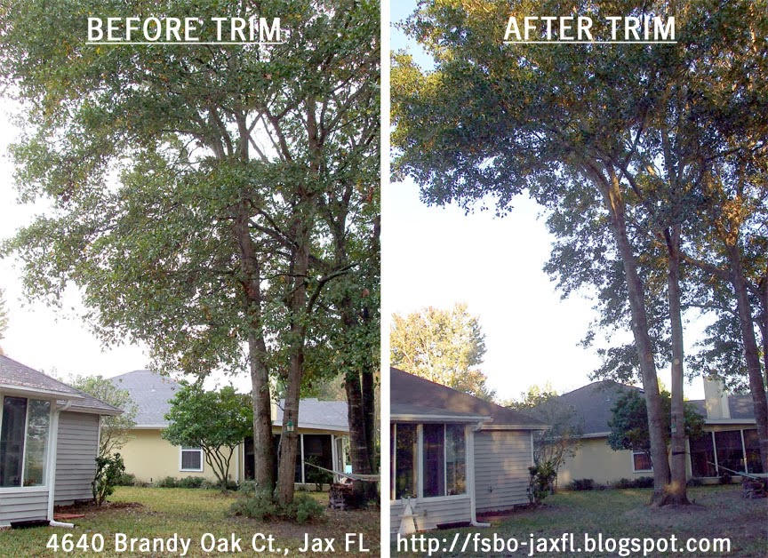 4640 Brandy Oak Court - Water Oak Trees Trimmed 4640 Brandy Oak Court - Water Oak Trees Trimmed