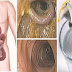 48-Hour Weekend Liver, Colon and Kidney Detox that Will Remove All Toxins and Fat from Your Body