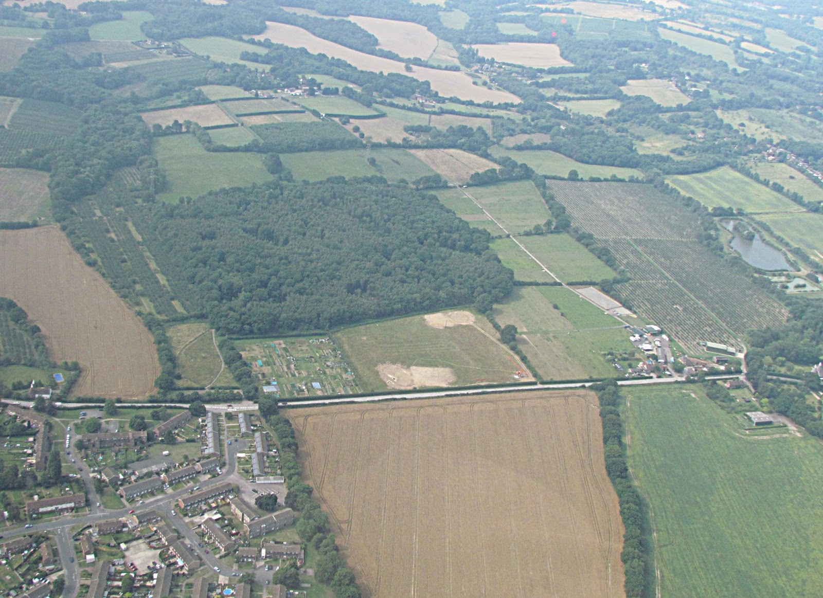 A Natural History of Paddock Wood in 2016 Foal Hurst Wood & a few