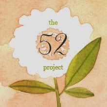 the 52 project