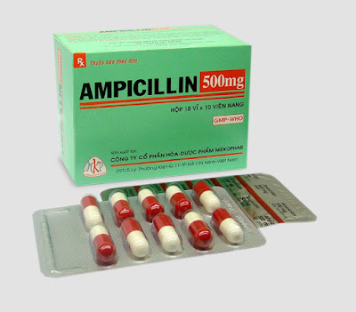 Ampicillin: Uses, Dosage, Precaution and Side Effects Ampicillin: Uses, Dosage, Precaution and Side Effects