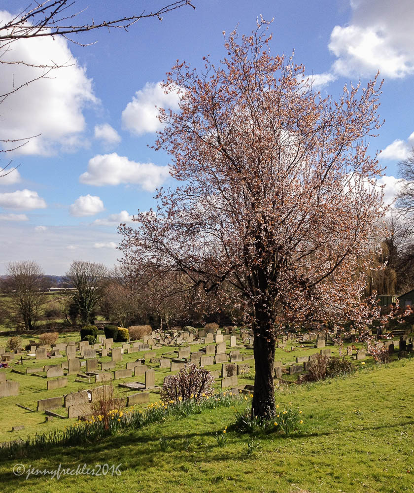 Saltaire Daily Photo Calverley walk 5