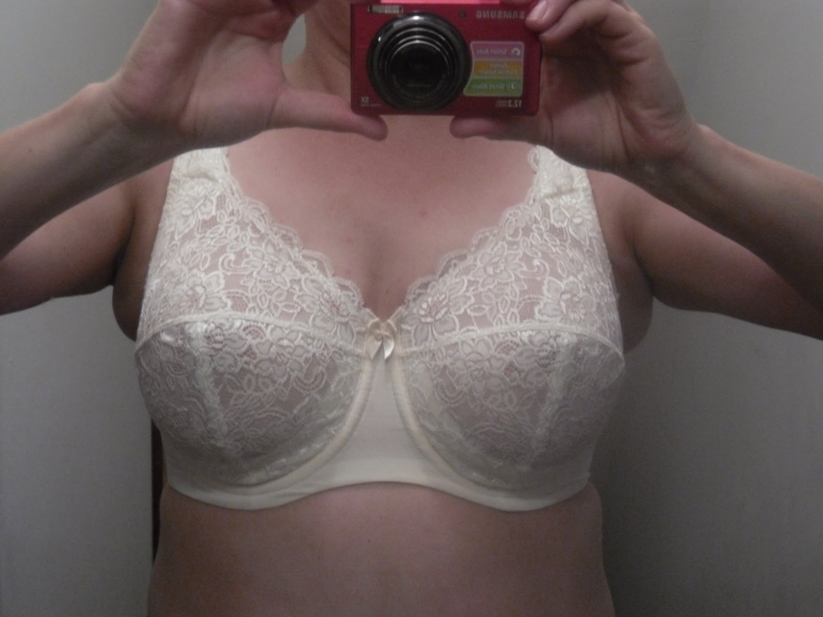 If the Bra Fits: Bra Review: Elila Stretch Lace Banded