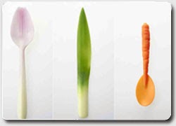 CUBIERTOS BIODEGRADABLES EN FORMA DE VERDURAS, IDEA DE NEGOCIO CUBIERTOS BIODEGRADABLES EN FORMA DE VERDURAS, IDEA DE NEGOCIO