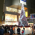 巨大クリスマスツリー登場!高さ9メートル!