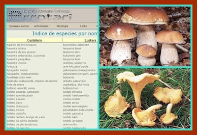 tipos de hongos y sus nombres cientificos