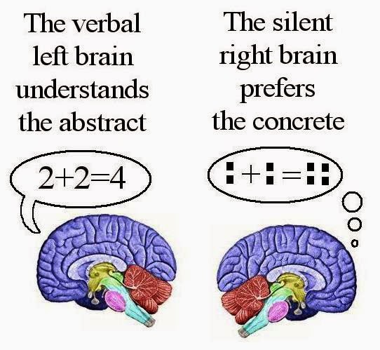 relationship between handedness and hemispheric dominance A link between handedness in nonhuman primates and language the correlation between monkeys' apparently dominant and nondominant hemispheres. relationship between handedness and hemispheric dominance A link between handedness in nonhuman primates and language the correlation between monkeys' apparently dominant and nondominant hemispheres.