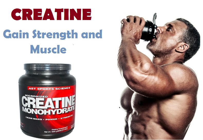 Muscle Palace Gain Muscle And Strength Fast With Creatine Supplement