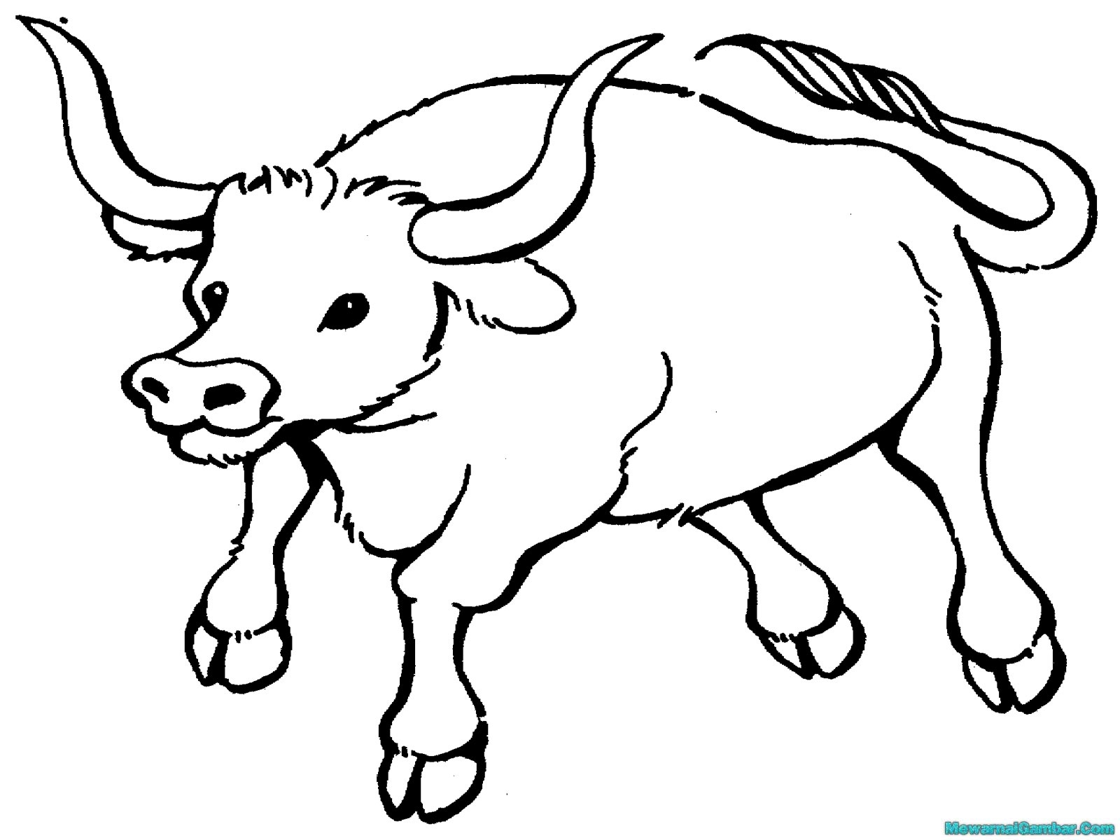 Mewarnai Gambar Banteng Mewarnai Gambar