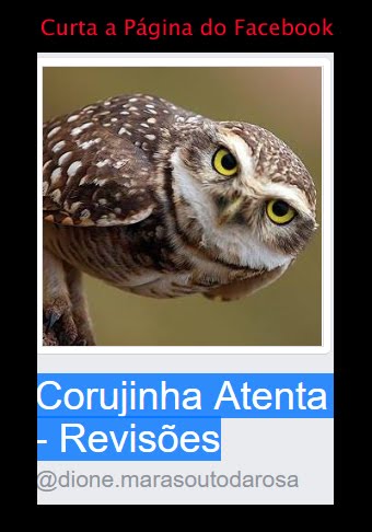 Curta a página Corujinha Atenta - Revisões