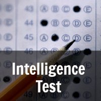 Officers+Intelligence+Test
