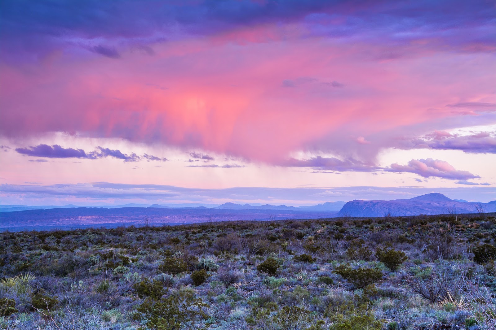 A Tree Falling: Big Bend National Park: Storms & Sunsets