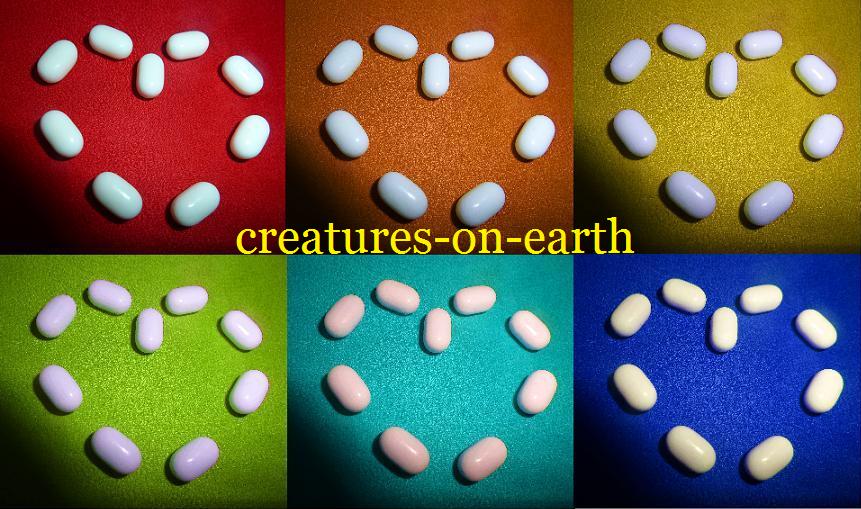 creatures-on-earth