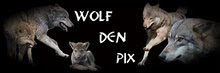 Wolf Den Pix