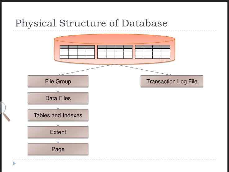 Dba база данных. Groups file. Files go удалить одинаковые фото. Wordpress-to-lead для salesforce. Groups files xcode.