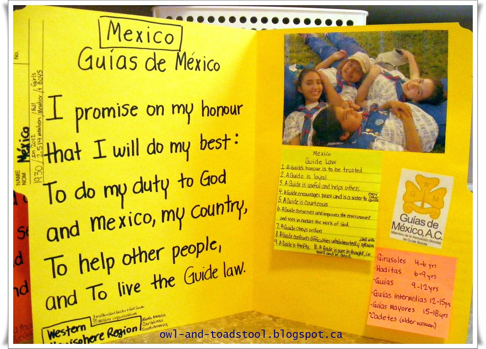 Owl & Toadstool Girl Guides World Guiding Badge and Lapbook