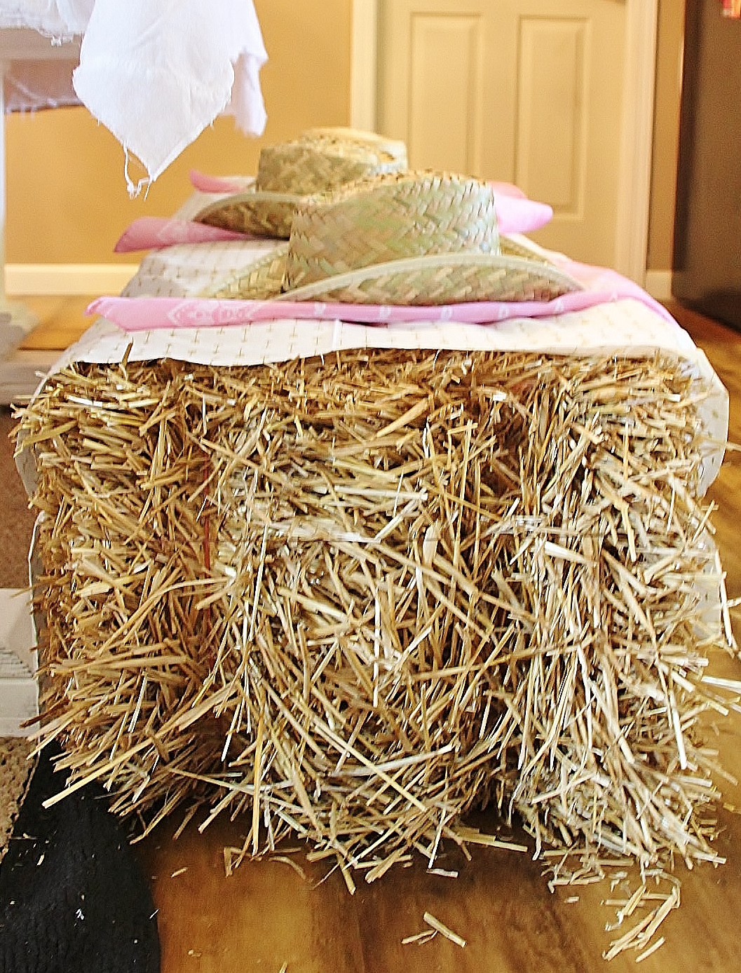 Creative Mommas Horse Theme 8 Year Old Birthday Party