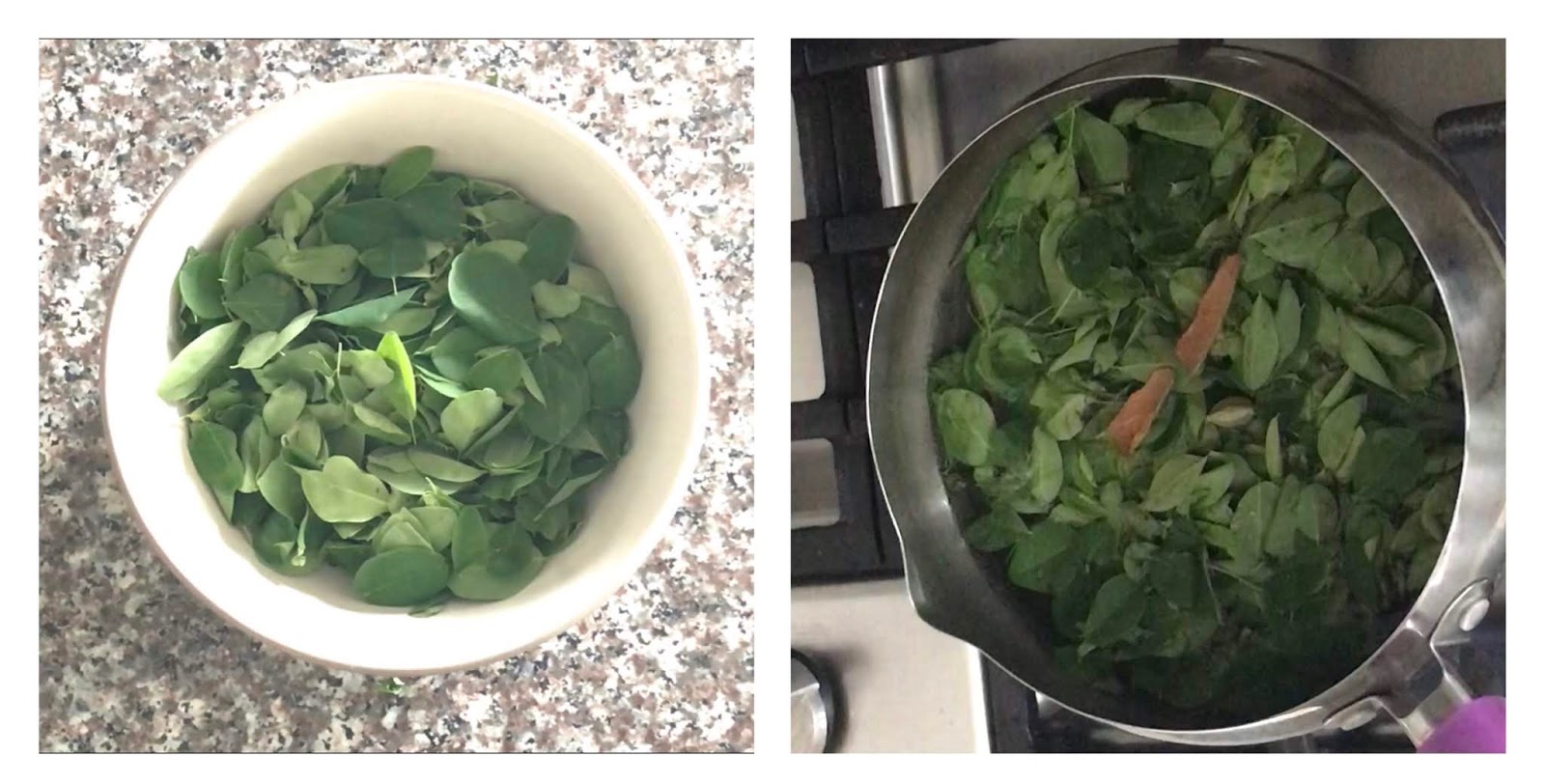 DRUMSTICK LEAVES TEA MORINGA TEA