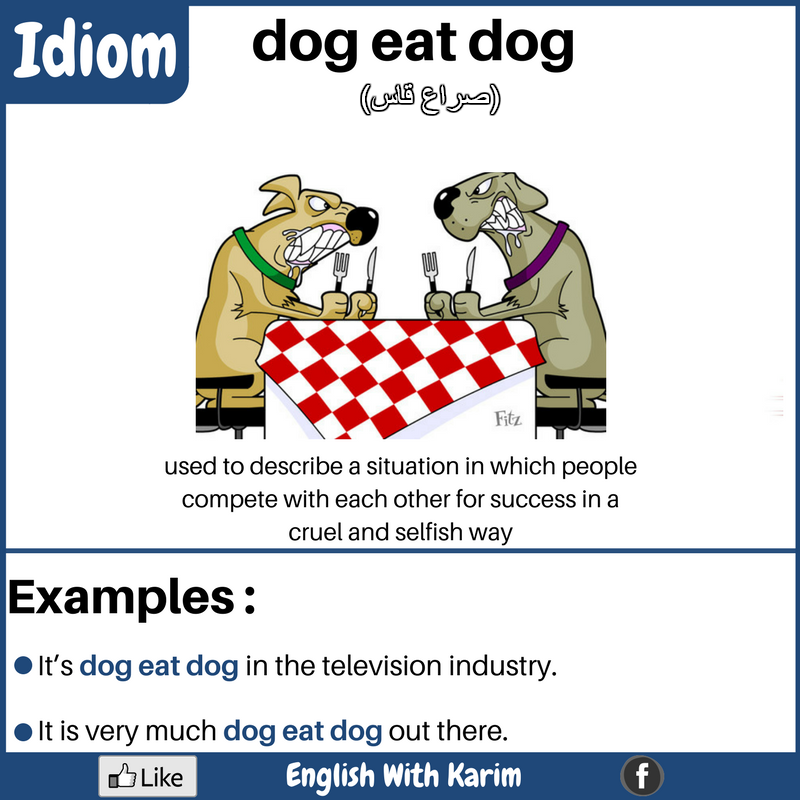 English idioms