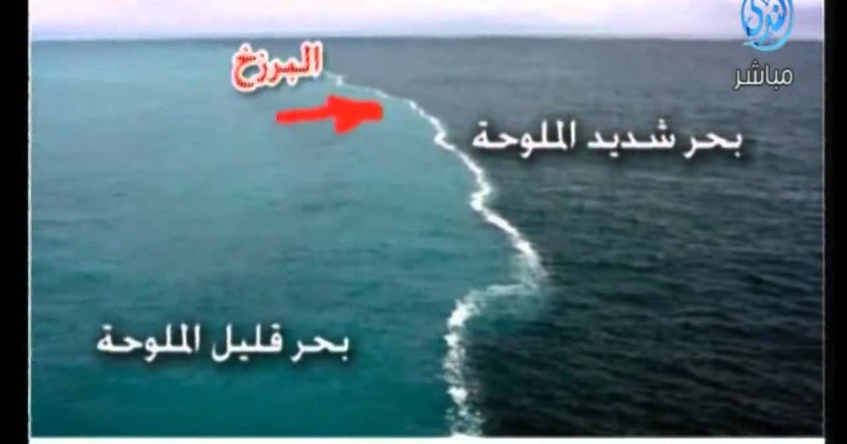 Comprendre L Islam Ii Les Pretendus Miracles Scientifiques Dans Le Coran La Conversion A L Islam Du Commandant Cousteau Et Le Non Melange De L Eau Salee Eau Douce