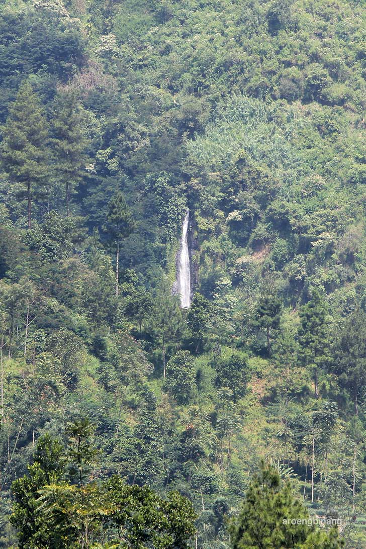 curug bajing petungkriyono pekalongan