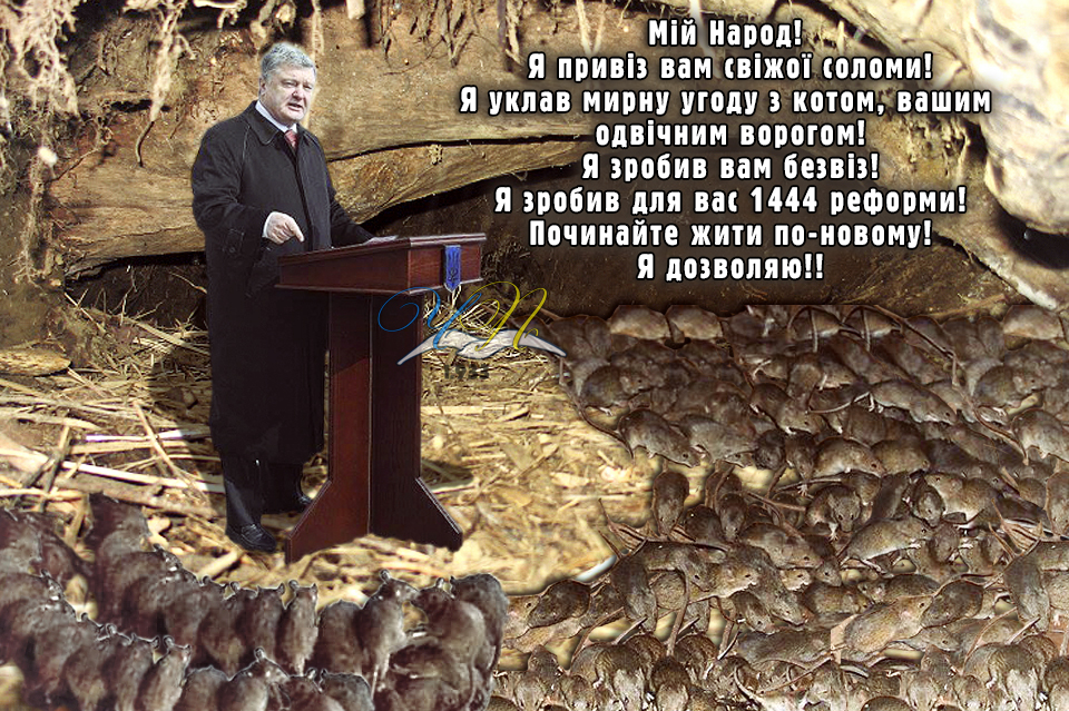 Закарпатье стало объектом атаки российских спецслужб, - Порошенко - Цензор.НЕТ 846