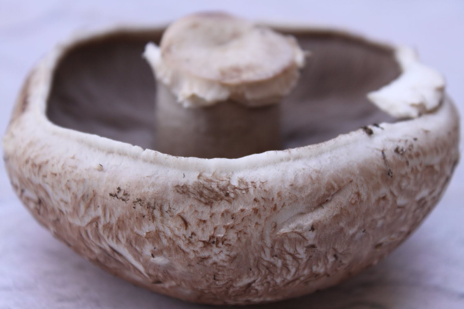 Pots and Frills: Stuffed Portabella Mushrooms--The Best Starter Ever