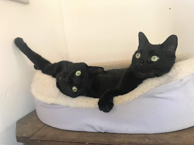 Again, don't ask me to figure out which one is which...