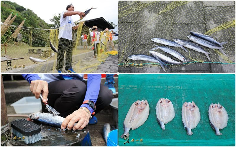 花蓮豐濱鄉磯崎部落一起飛魚磯崎原民料理生活技能部落傳統舞蹈晚宴活動