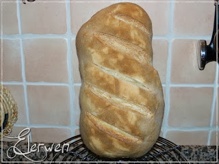 pane semplice con pasta madre