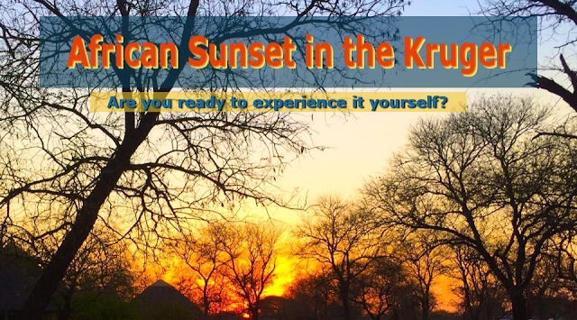 African Sunset in the Kruger