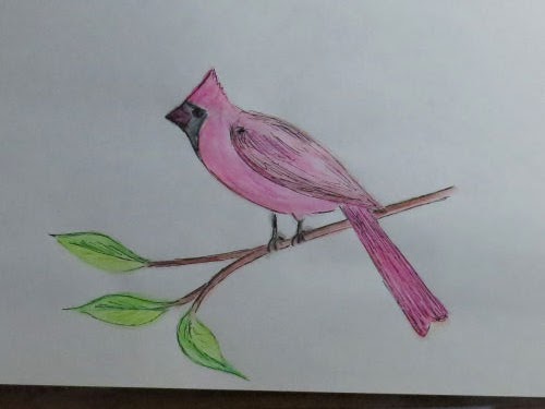 watercolor pencil drawing of a cardinal