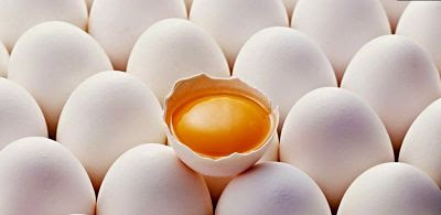 ¿Deberías estar comiendo huevos?