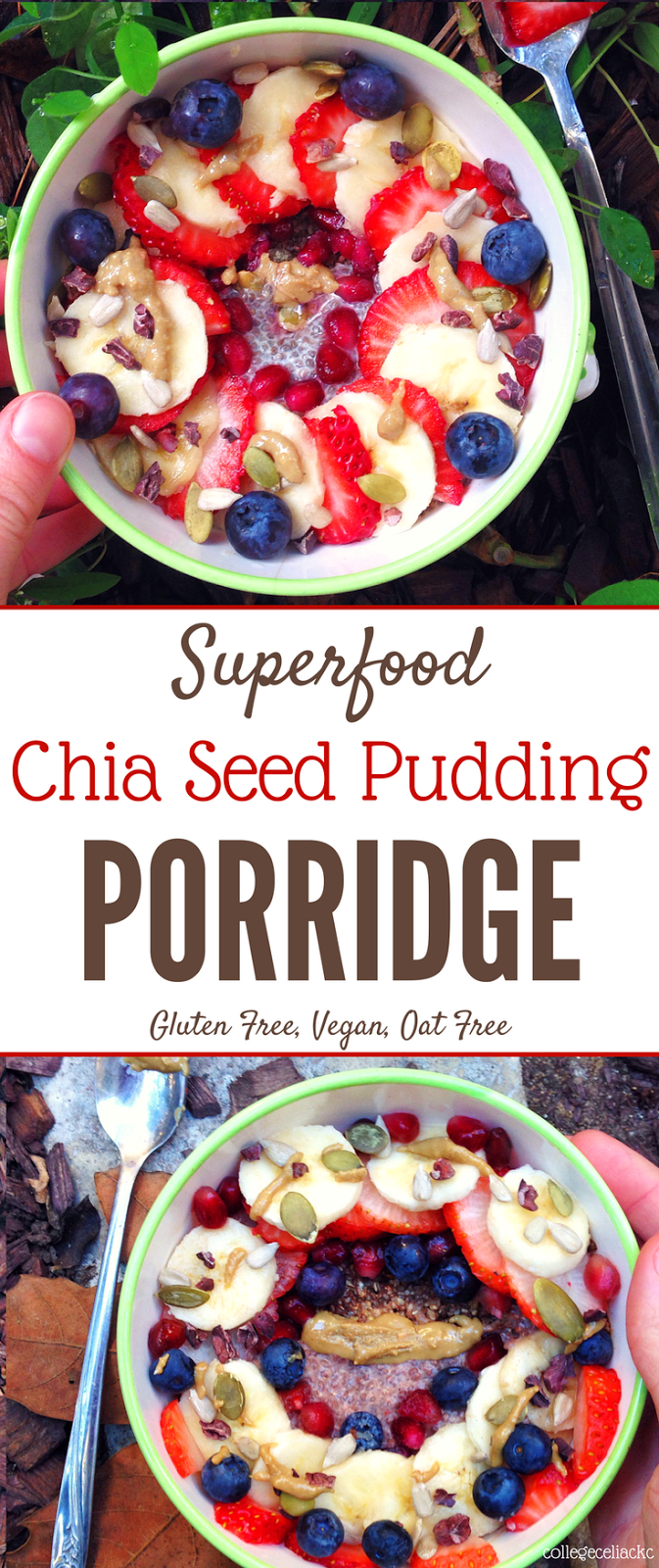 Superfood Chia Seed Pudding Porridge (Gluten Free, Vegan, Oat Free)