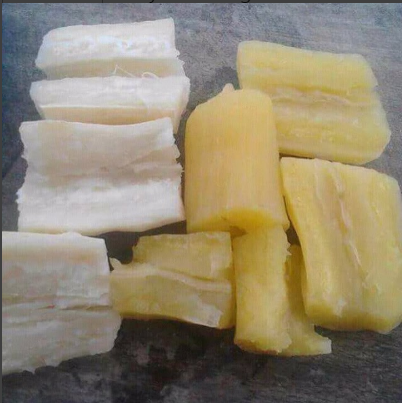 Que-hacer-en-caso-de-comer-yuca amarga, Que-hacer-en-caso-de-comer-yuca amarga,