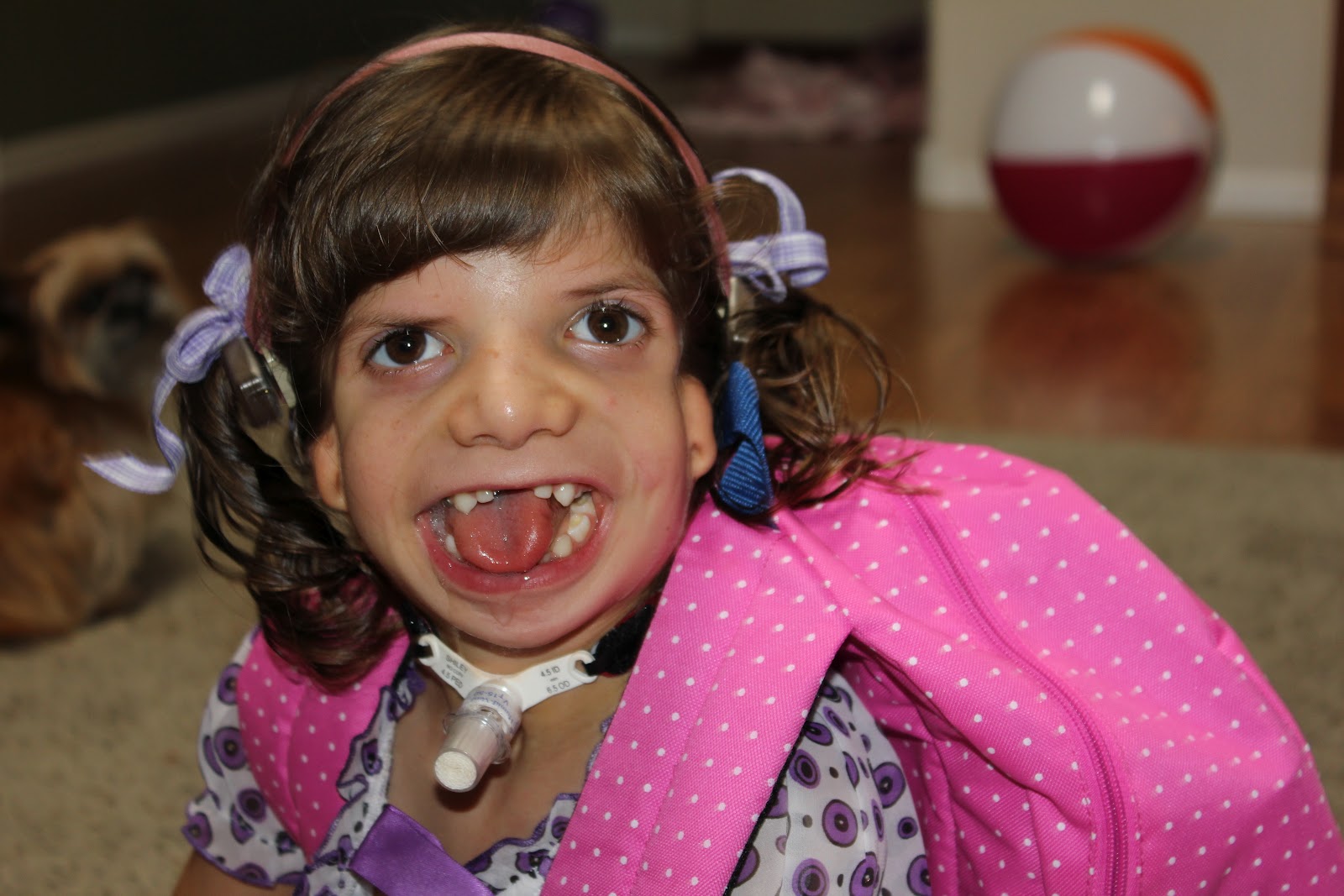 Cicily s Adventures KINDERGARTENER 