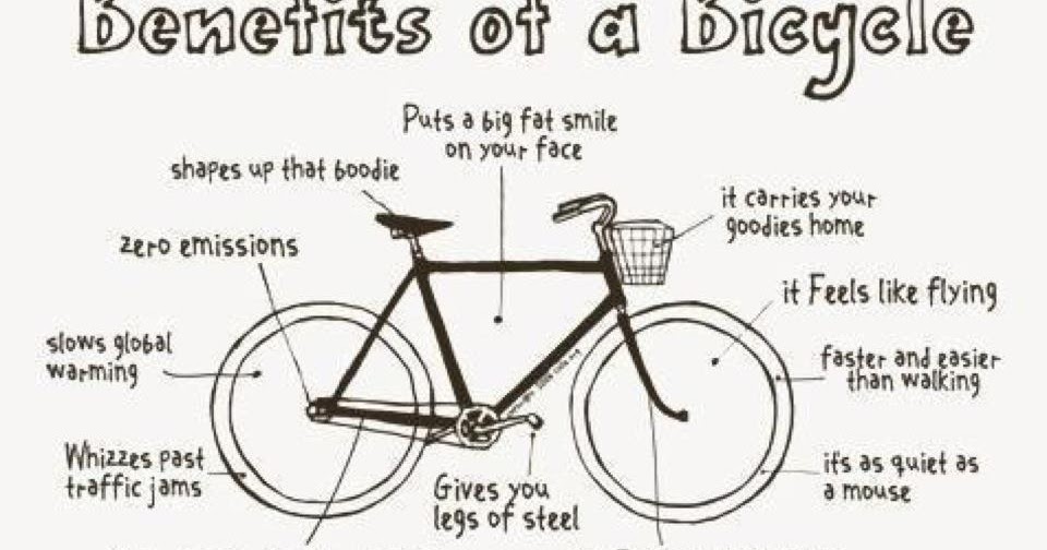 Cycling, A Taste of Freedom How and why i decided to travelling on a