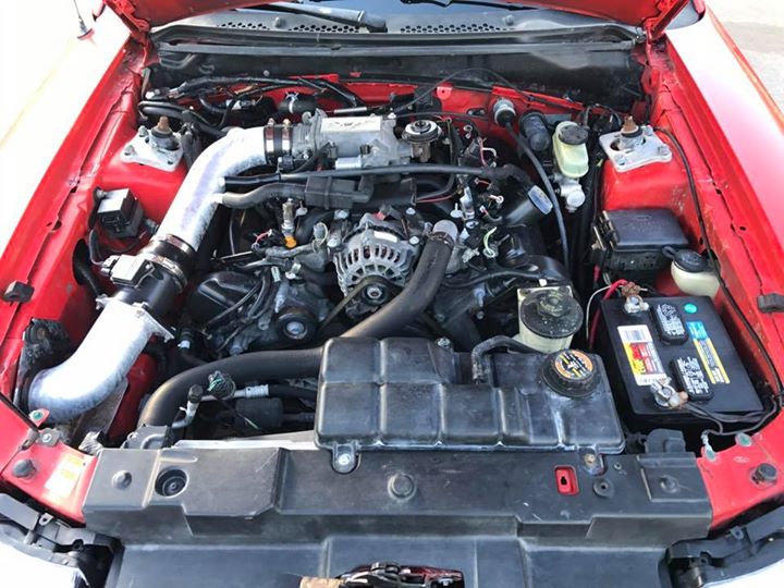 Whiteboy's Mustangs: 2000 mustang GT
