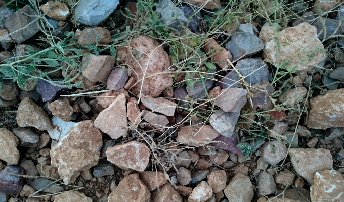 proyecto-fotográfico-semana-5