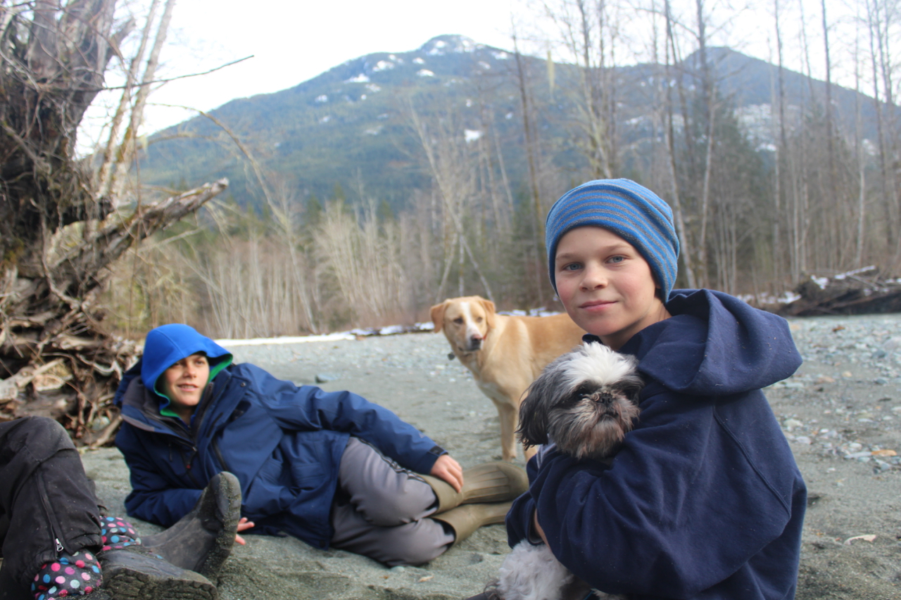 Marblemount Homestead Where did all the little collars go? Check in