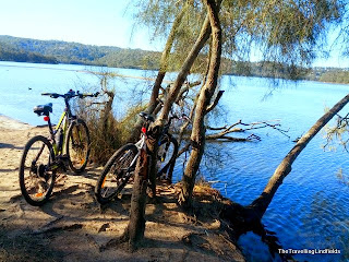 Narrabeen Lagoon Trail