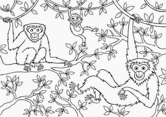 Jungle Animals Coloring | Monkey Coloring Pages Jungle Animals Coloring