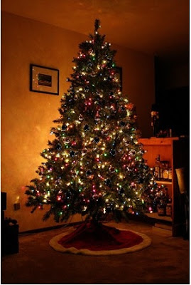 decorar el pino navideño solo con luces decorar el pino navideño solo con luces